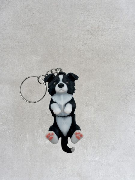Brelok - Border Collie