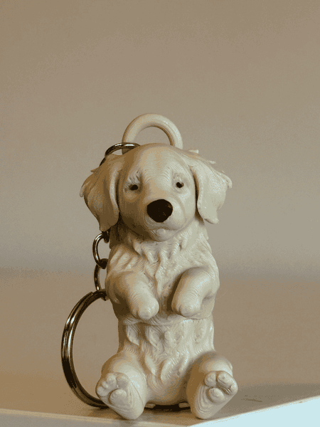 Brelok - Golder Retriver